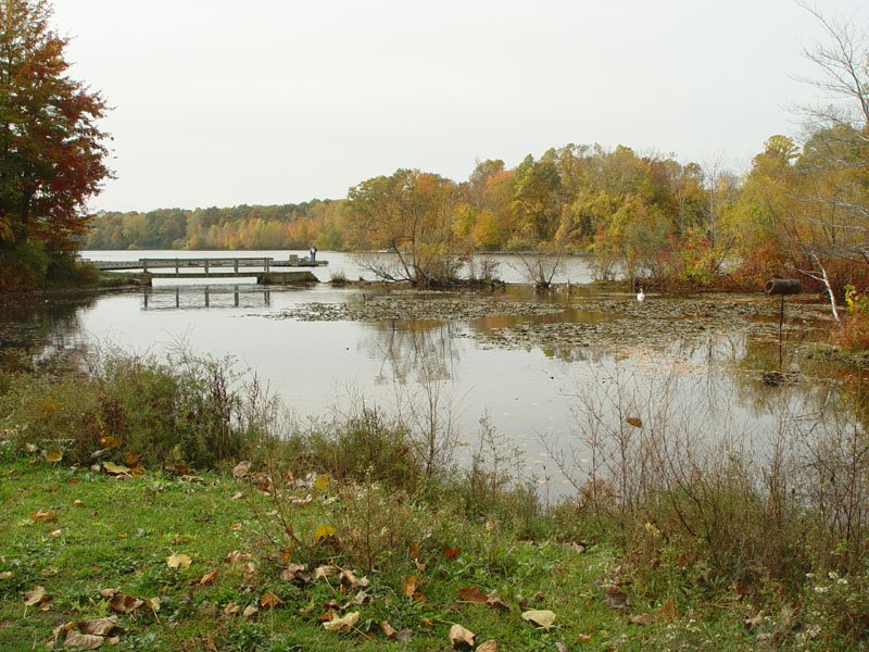 DSC04499