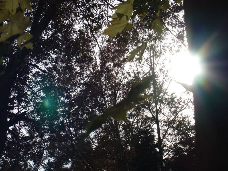 DSC00672