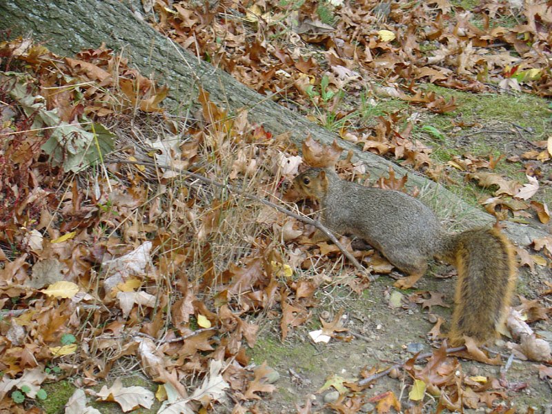 DSC00691