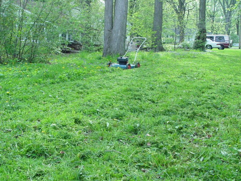 DSC02038