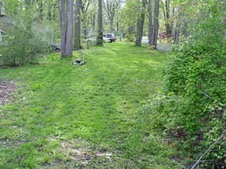 DSC02035